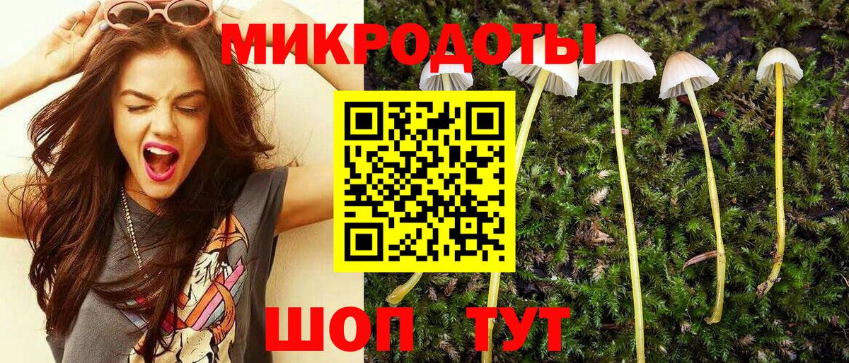 Галлюциногенные грибы прущие грибы  Вход с VPN  Трёхгорный 